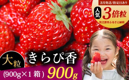 【3月指定日配送/数量限定】 きらぴ香 大粒 900g 【いちご】 冷蔵発送 数量限定きらぴか 苺 イチゴ 1箱 ゆりかーご 土耕栽培 フルーツ 果物 スイーツ デザート 朝摘み ストロベリー おやつ 完熟 直送 ギフト 家庭用 贈答用 贈答 ギフト 贈り物 甘い ブランド ジャム アレンジ 農家直送 ベリー 産地直送 国産 おすすめ 森木農園 静岡県 牧之原市 ~土耕栽培だから濃くて甘い!~