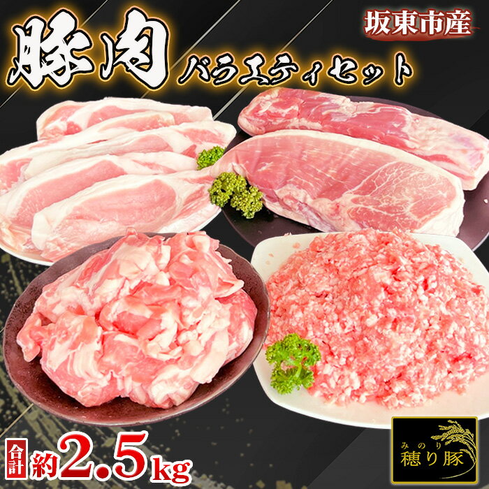 【ふるさと納税】No.840 坂東市産の豚肉バラエティセット　約2.5kg ／ 背ロース バラ もも 小間切れ ひき肉 セット うま味 送料無料 茨城県