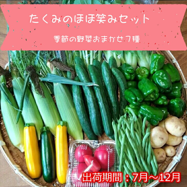 【ふるさと納税】旬の野菜7種『たくみのほほ笑みセット』（2025年7～12月出荷／北海道・九州・沖縄県・離島は配送不可） 旬彩 長野県 信州 おまかせ 高原 産地直送 季節 詰合せ 有機 栽培