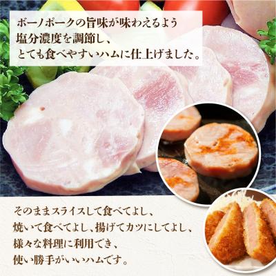 ふるさと納税 下呂市 【定期便 3回】飛騨味職人「ボーノポーク満喫定期便」定期 毎月 3カ月【57-E】 |  | 02