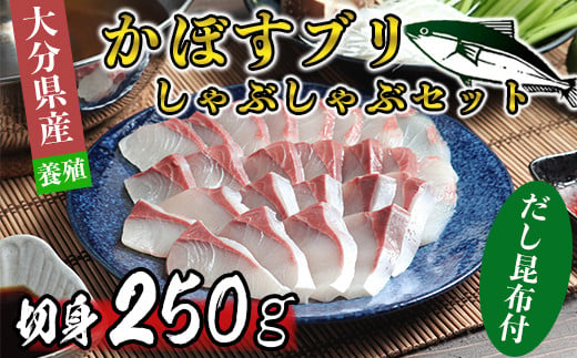 
豊後絆屋 かぼすブリしゃぶセット 切身250g（だし昆布付）※10月～3月限定 しゃぶしゃぶ 魚 先行予約 ぶり 鰤 寒ブリ かぼすブリ 鍋 海鮮 冷凍 セット 切身 産地直送 大分県 ブリしゃぶセット ＜101-006_5＞
