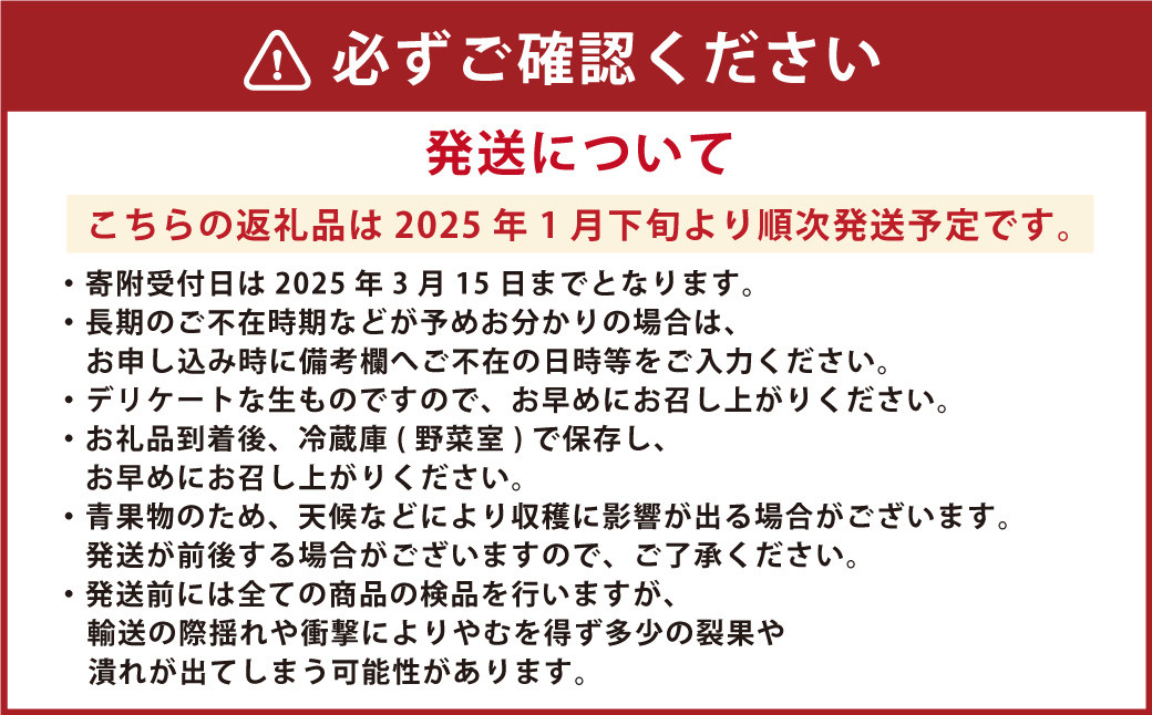 【2024年1月下旬発送開始】にべさんちの苺 熊本県産イチゴ桃薫(とうくん) 約400g