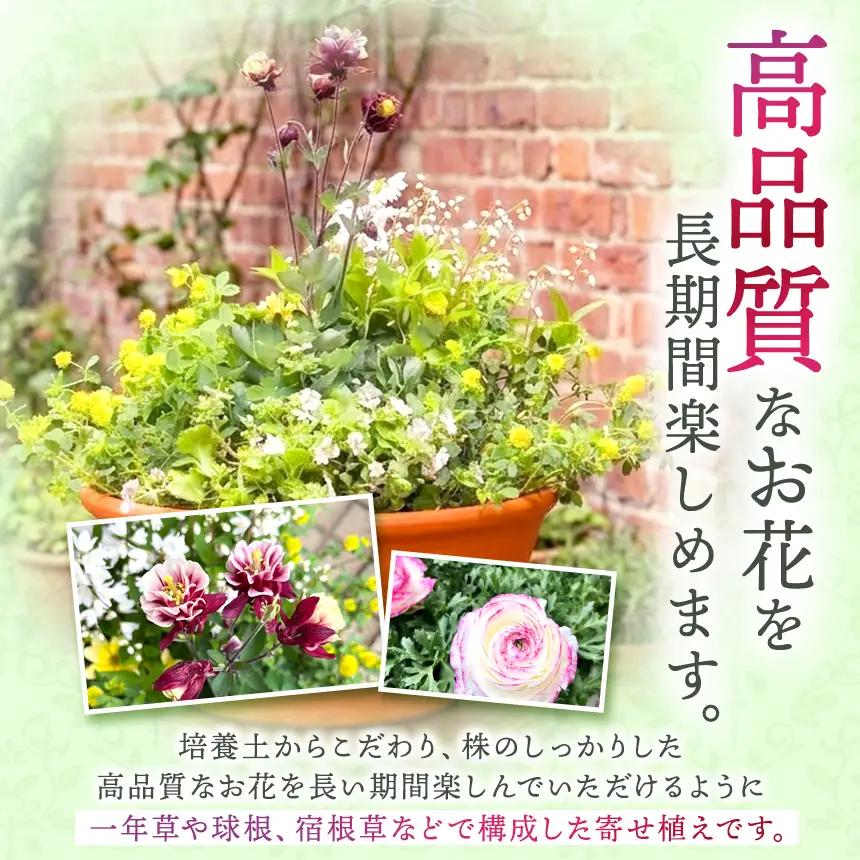 季節 の 寄せ植え ( 内容 おまかせ ) | 花  ガーデニング 英国流 フラワーポット