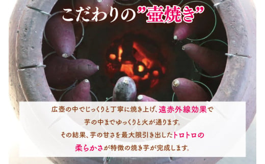 【日本さつまいもサミット2025-26　ファーマーズ・オブ・ザ・イヤー受賞】冷凍 壺焼き芋 3種食べ比べ3kg（500g×6）（1㎏ずつ3品種）【さつまいも 芋 いも  焼き芋 焼芋 やきいも 紅はる
