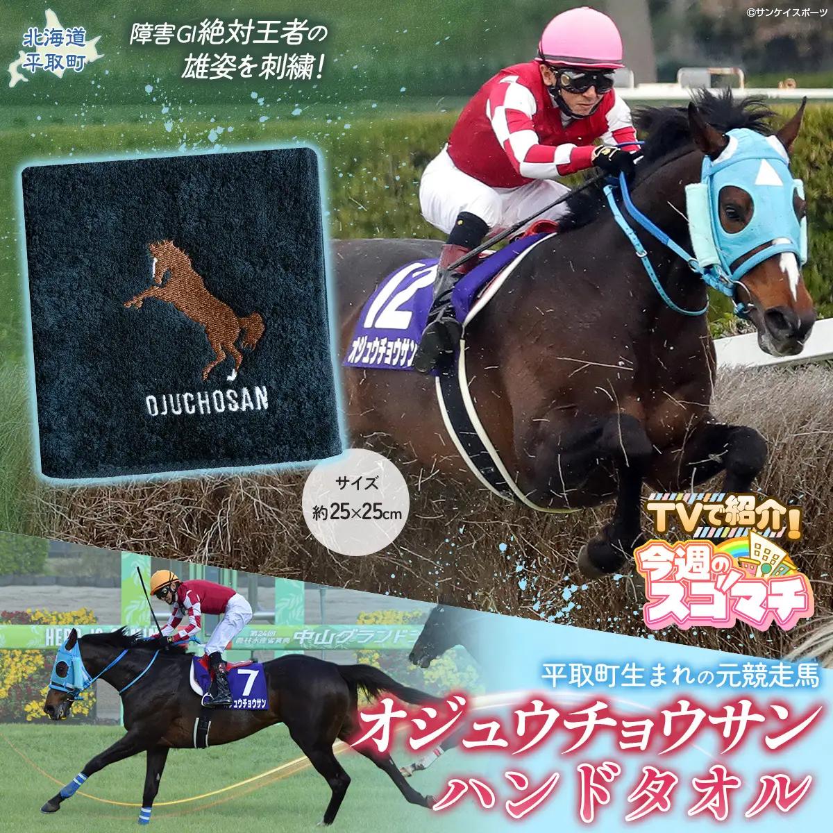 【TVで紹介！ 】【オジュウチョウサン】ハンドタオル BRTV008