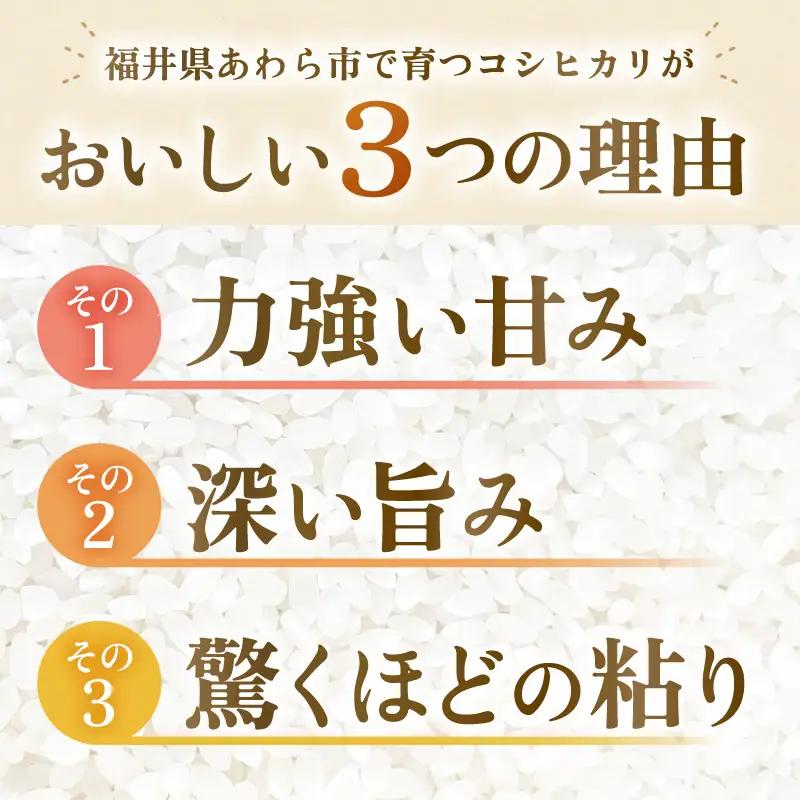 【先行予約】【令和8年産】コシヒカリ 精米 5kg 化学肥料 農薬不使用 自然栽培米 / 北陸 福井県産 あわら市 ブランド米 白米 お米 コメ ※2026年10月上旬以降順次発送予定 [aw138-
