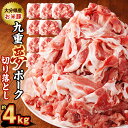 【ふるさと納税】九重夢 ポーク お米豚 切り落とし 約4kg 500g×8パック 九重夢ポーク SPF豚 豚肉 小分け 真空パック お肉 切落し 国産 九州産 大分県産 九重町産 冷凍 送料無料