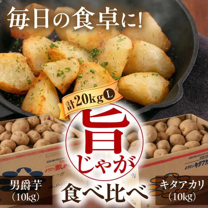  【先行予約】じゃがいも 食べ比べセット 20kg じゃがいも AJAK014