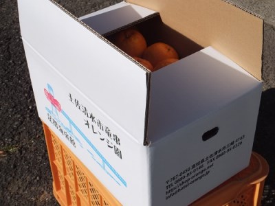【先行予約】＜訳あり＞ ぽんかん20kg（オレンジ園） デコポンの親 みかん ミカン 果物 果実 柑橘 フルーツ ポンカン でこぽん おやつ デザート 甘い 美味しい 家庭用 名物 国産【R01082