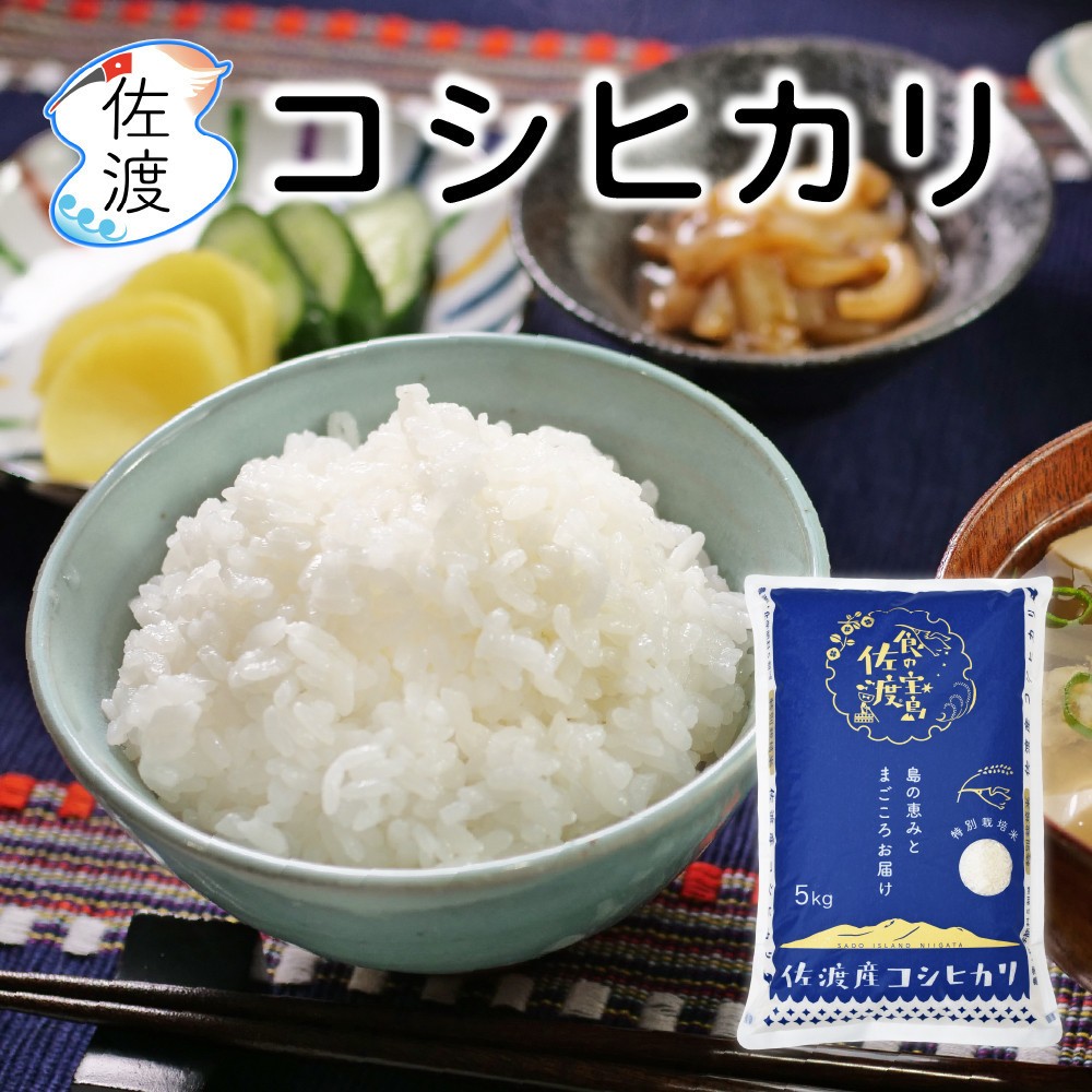 佐渡島産コシヒカリ 白米10kg（5kg×2袋） 農薬・化学肥料5割減【食の宝島佐渡】195962-1214