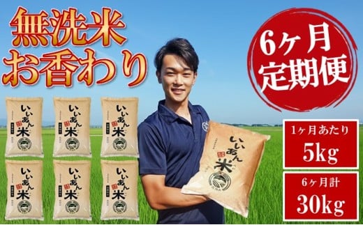≪6ヶ月定期便≫ 無洗米 お香わり（山形95号） 5kg×6ヶ月連続 計30kg 山形県庄内産 毎月中旬頃にお届け 米 お米 精米 白米 定期便 AG アグレスト　SI0061