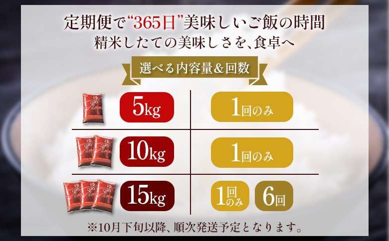 【令和7年度産】ゆめぴりか精米 (10kg)【11070】