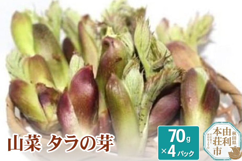 
            山菜 タラの芽 70g×4パック 天然 （発送は4月～5月頃）
          