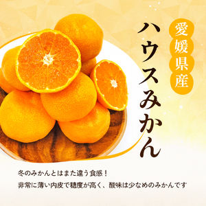 〈夏季限定！申込8/17まで〉温室育ちの温州みかん2.0kg(約15～25個)【甘い 夏のミカン オレンジ ハウスみかん 早生 冷やして 柑橘 フルーツ 果物 愛媛 砥部 JA  8月 9月 】