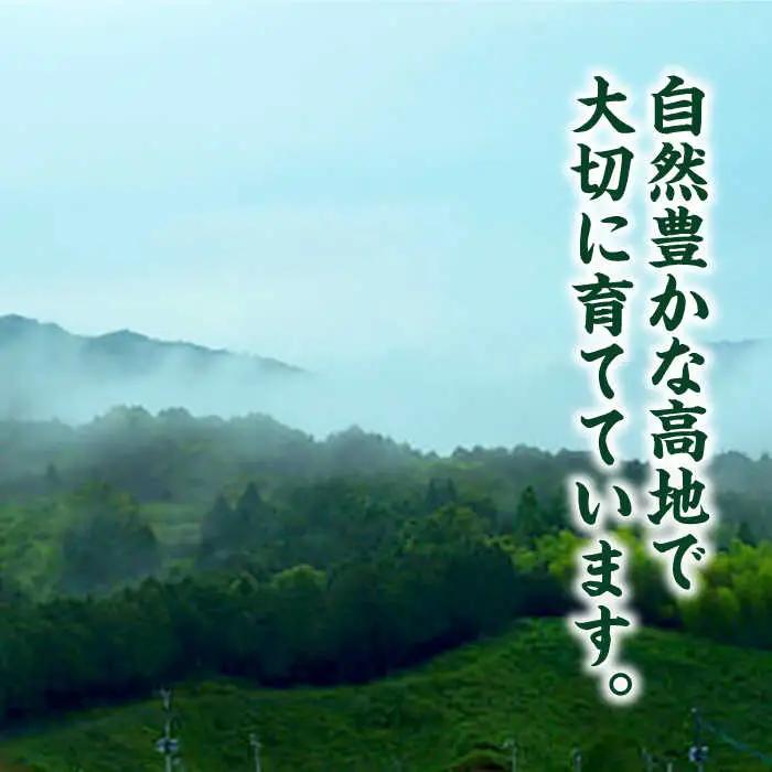 八女茶 合計1kg (250g×4袋) / お茶 八女茶[AFBE001]
