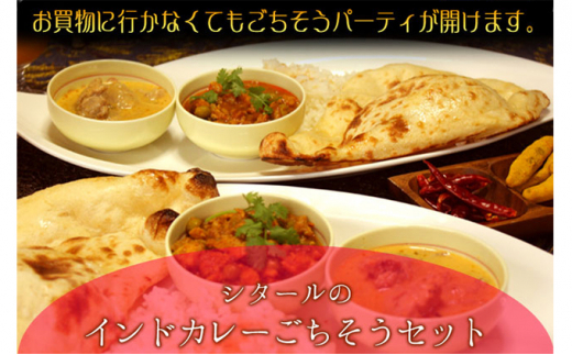 
印度料理シタール インドカレー大ごちそうセット【カレー 加工食品 レトルト食品】[№5346-0058]
