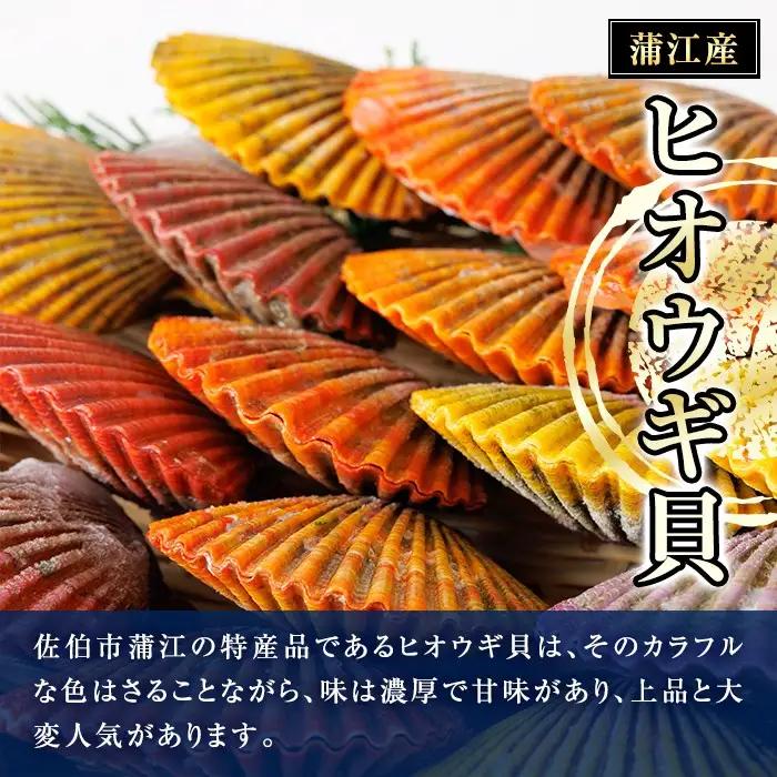 冷凍 ヒオウギ貝 (計10枚) 魚介 貝 ヒオウギ貝 ひおうぎ貝 酒蒸し 網焼き バター焼き バーベキュー 獲れたて 海の直売所 大分県 佐伯市【AS151】【海べ】