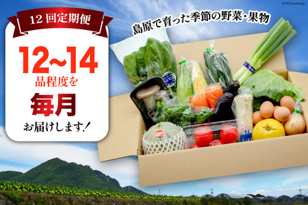 BF059 【12回定期便】旬の野菜・フルーツ (12～14品目)・卵 (6個) おまかせ セット【 野菜 果物 卵 やさい くだもの 果物 タマゴ たまご 詰め合わせ 江戸屋 長崎県 島原市 】 レ