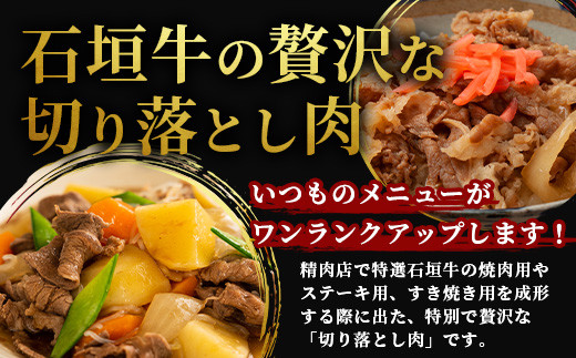 石垣牛・切り落とし 500g 冷凍便 | 沖縄県 石垣市 牛肉 お肉 切落し 小間切れ 牛小間切れ SI-88