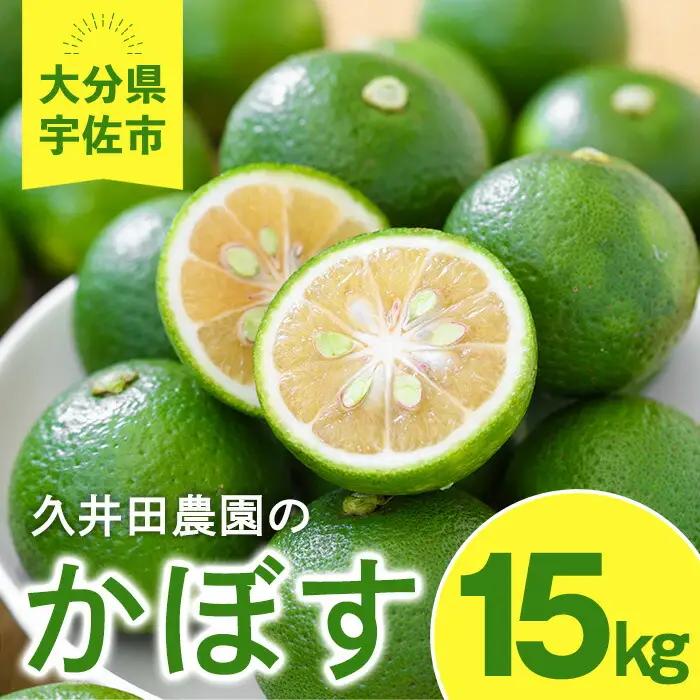 ＜先行予約受付中！2026年8月上旬以降順次発送予定＞かぼす(15kg)柑橘 かんきつ 大分県産直 期間限定【112600300】【ａｎｄＫ】