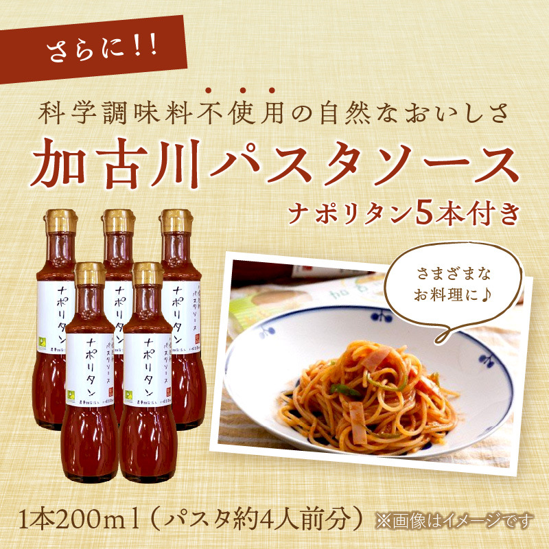 加古川パスタセット《 国産小麦 兵庫県産 セトデュール デュラムセモリナ 原油高騰 家計応援 パスタ ナポリタン 八幡営農 オーマイ 送料無料 》【2102J01503】_イメージ5