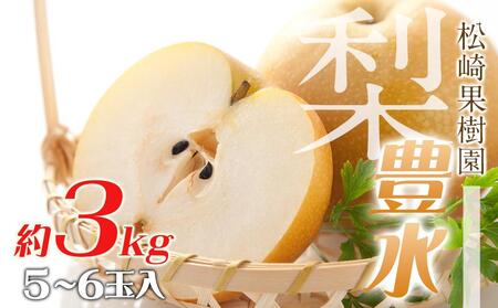 梨「豊水」約3kg（5～6玉入）【松崎果樹園】