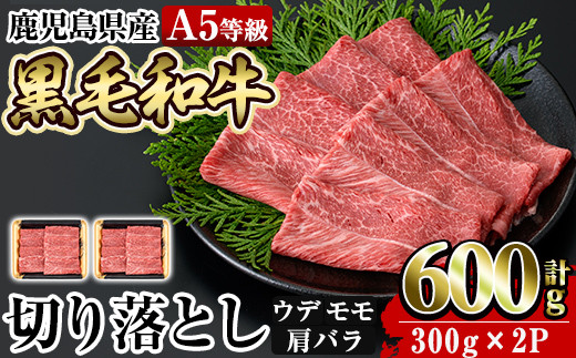 
a855 ≪A5等級≫鹿児島県産黒毛和牛切り落とし計600g(300g×2P)【水迫畜産】姶良市 国産 牛肉 切り落とし
