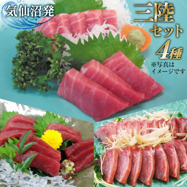 【ふるさと納税】三陸セット 中トロマグロ 150g トロの赤身 150g メバチマグロたたき 200g 特撰トロカツオ 250g 合計750g [村田漁業 宮城県 気仙沼市 20563481] 魚介 魚 刺身 海鮮 中トロ 赤身 鮪 まぐろ メバチマグロ ネギトロ トロカツオ とろ カツオ 感想