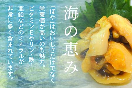 ほや塩辛 10袋【味の加久の屋】