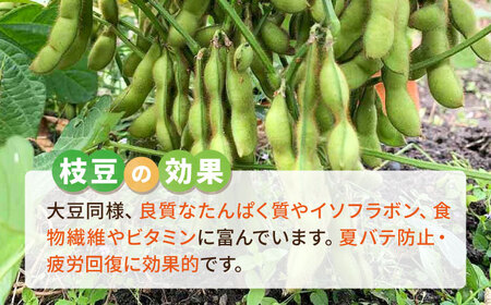 枝豆 1kg 冷凍 旬の時期に急速冷凍 【福岡県糸島産】 糸島市 / オーガニックナガミツファーム 野菜 えだまめ[AGE052]
