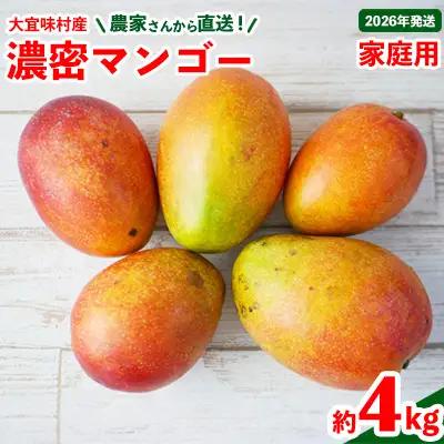 マンゴー【2026年発送】ご家庭用！濃密マンゴー《家庭用・約4kg》