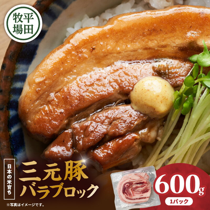 【ふるさと納税】 平田牧場 三元豚バラブロック 600g 肉 お肉 にく 豚 豚肉 ブタ ぶた 三元豚 バラブロック バラ 豚バラ 黒豚 バークシャー種 特別品種 便利 パック おかず 夕食 美味しい おいしい ジューシー 北海道 苫小牧市 おすすめ ランキング プレゼント ギフト