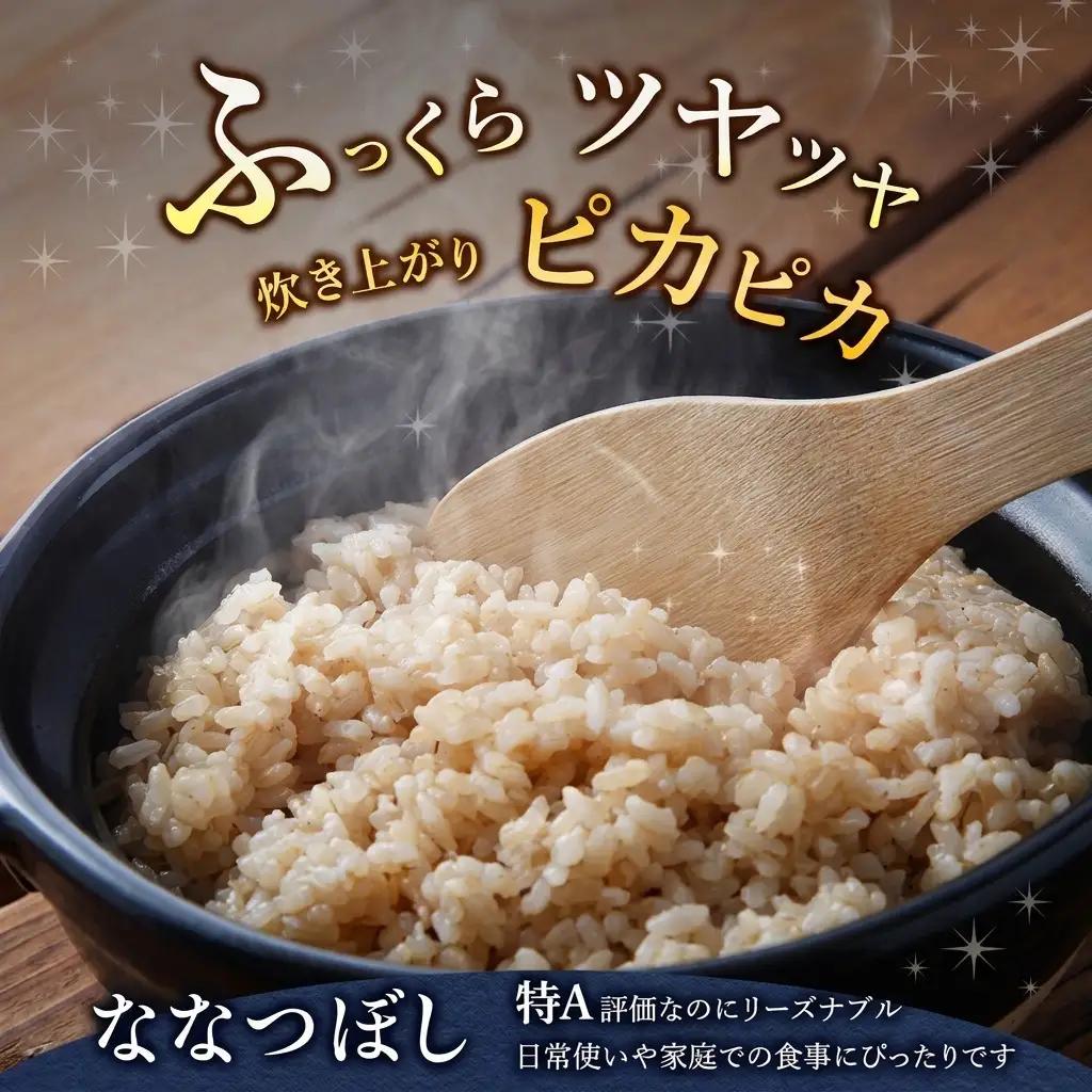 ななつぼし 玄米 北海道産 ななつぼし【10kg(5kg×2袋)】【令和8年産】【9ヵ月定期便】