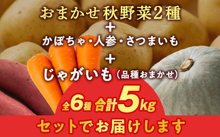 【2025年10月上旬以降順次発送】秋野菜 詰め合わせ 6種 計5kg　サツマイモ・かぼちゃ・じゃがいも・にんじん・他おたのしみ 秋野菜