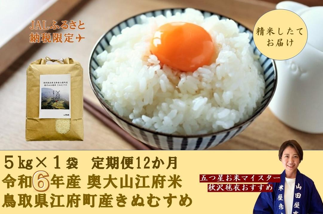 【JALふるさと納税限定】-定期便12回- 令和6年産 特別栽培米きぬむすめ 奥大山江府米 5kg×12ヶ月 鳥取県江府町産 先行予約 YA5 0836