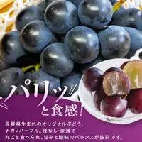 金オ岡村青果株式会社 長野市産 ナガノパープル1kg【2026年8月末以降出荷分】ナガノパープル | ぶどう ぶどう