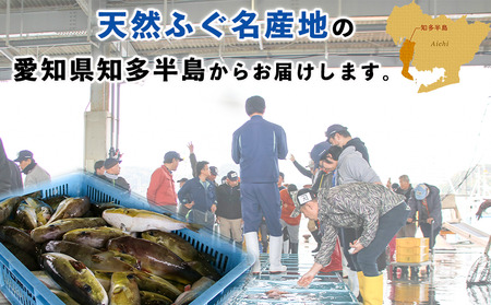 さばふぐ 6点セット 冷凍 海鮮 フグフグフグ 岬だより