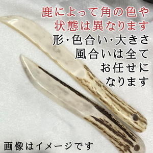 鹿の角 ペーパーナイフ 中 1個 右手用 【竜鹿】／ 鹿角 鹿 しか シカ グッズ 本物 加工 加工品 工芸 工芸品 クラフト ナイフ 右利き 日用品 雑貨 不揃い ふぞろい １個 人気 事務用品 事