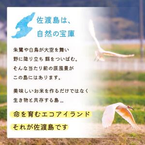 【3か月定期便】佐渡島産新之助 白米5Kg 令和6年産