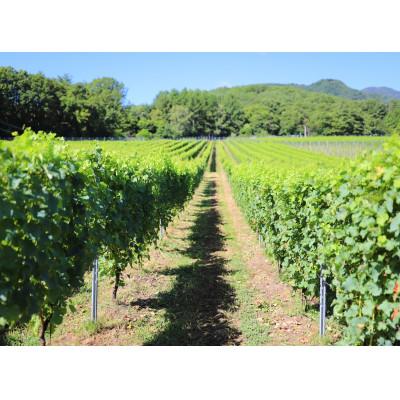 ふるさと納税 韮崎市 淡路結シャルドネ2023　750ml |  | 01