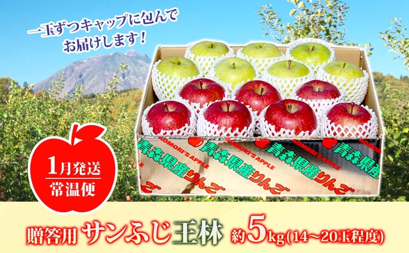 りんご 【1月発送】糖度13度～ 贈答用 サンふじ 王林 約5kg　リンゴ 林檎 青森りんご 糖度 13度 甘い 酸味 デザート フルーツ 果物 お取り寄せ 産地直送 旬 季節限定 弘果物流 青森県 西目屋村 西目屋村産