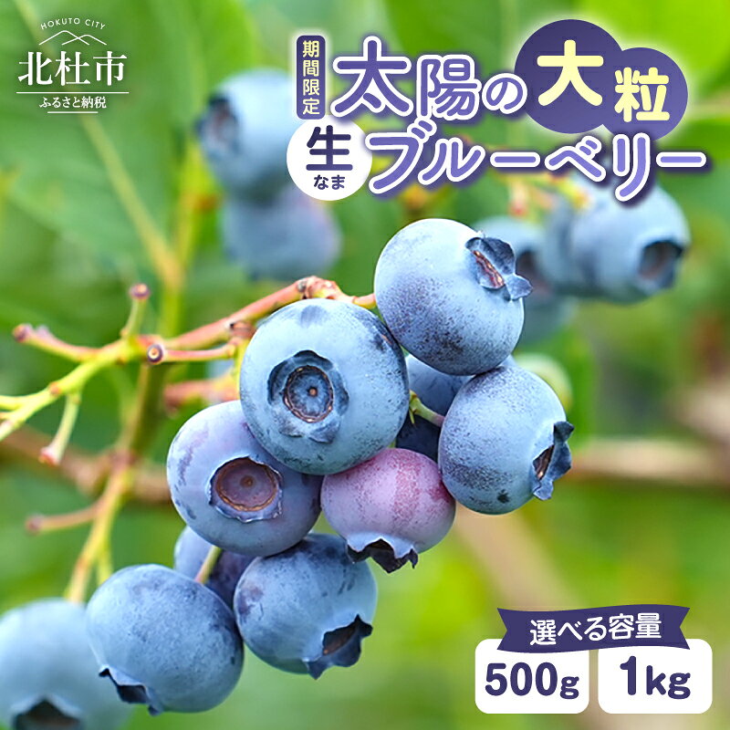 【ふるさと納税】 【2027年先行予約】 ブルーベリー 大粒 選べる容量 500g 1000g 無農薬 大きい 人気 新鮮 フルーツ 果物 くだもの デザート ベリー 生果 生果実 ジャム ヨーグルト 国産 期間限定 数量限定 山梨県産 北杜市 明野町 送料無料