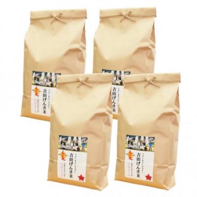 ふるさと納税 雲南市 島根県雲南市産「吉田げんき米」きぬむすめ20kg(5kg×4) |  | 03