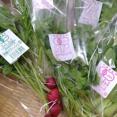 ふるさと納税 浜田市 【2ヵ月毎定期便】弥栄町産野菜のおまかせセット全6回 |  | 03