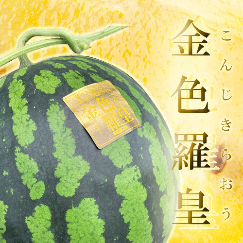 
熊本産 金色羅皇 1玉 7キロ以上【2025年5月下旬～6月下旬発送予定】 西瓜 すいか スイカ 果物 フルーツ くだもの
