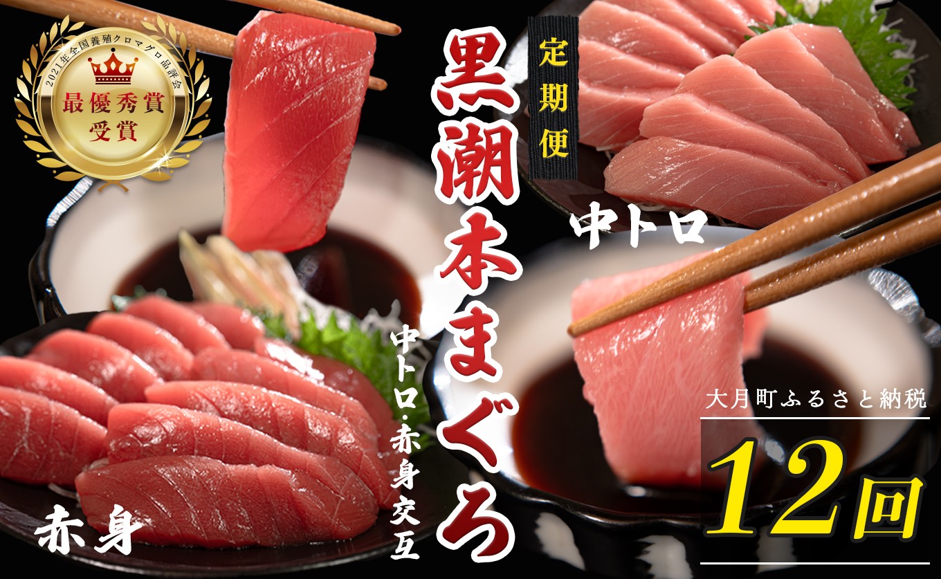 
                  訳あり 不定貫 定期便 12回 国産 養殖本マグロ 中トロ・赤身 2種 毎回120g 月替わり×12回 黒潮本まぐろ 全国養殖クロマグロ品評会 最優秀賞受賞 12ヶ月 12か月 一年 柵 刺身用 本マグロ クロマグロ 本鮪 まぐろ 鮪 お刺身 さしみ 中トロ トロ 赤身 海鮮丼 漬け丼 手巻き寿司 鉄火丼 まぐろ丼 小分け 個包装 真空パック 冷凍 不揃い 家庭用 海鮮 年末年始 高知県 9万円
                