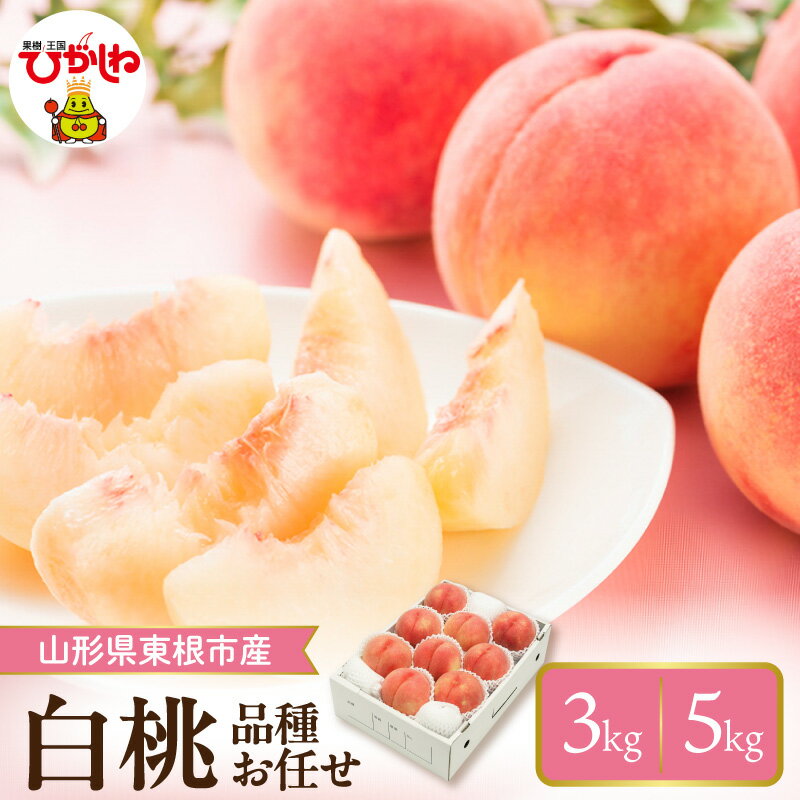 【ふるさと納税】 2026年産 先行予約 桃 白桃 品種おまかせ 約 3kg (7〜12玉) / 約5kg (12～18玉) | もも モモ ピーチ フルーツ 果物 くだもの 箱入り 化粧箱 期間限定 冷蔵配送 お取り寄せ グルメ 産地直送 送料無料 東北 山形県 東根市