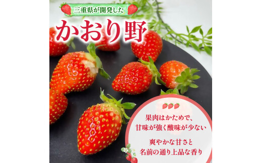 （小粒）農林水産大臣賞受賞農園からお届けする【訳アリ】かおり野　1kg (250g×4) /いちご イチゴ 苺 三重県 多気町 ISH-02