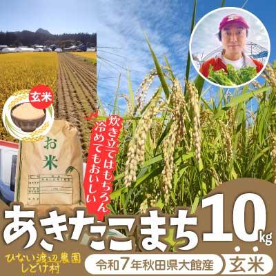ふるさと納税 大館市 【令和7年産】秋田県産「あきたこまち」玄米10kg(10kg×1袋)