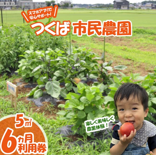 【ふるさと納税】専用スマホアプリがサポート！ハルファームの市民農園利用券(5平方メートル 6ヵ月間) | 茨城県 つくば市 農園 貸農園 貸し農園 農業体験 農業 野菜収穫 体験 野菜体験 チケット 旬野菜 採れたて野菜